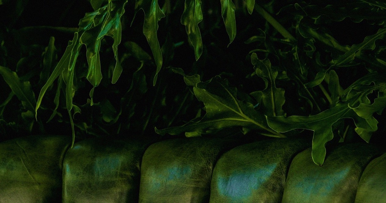 Jungle Room cocktail lounge now open in Vancouver