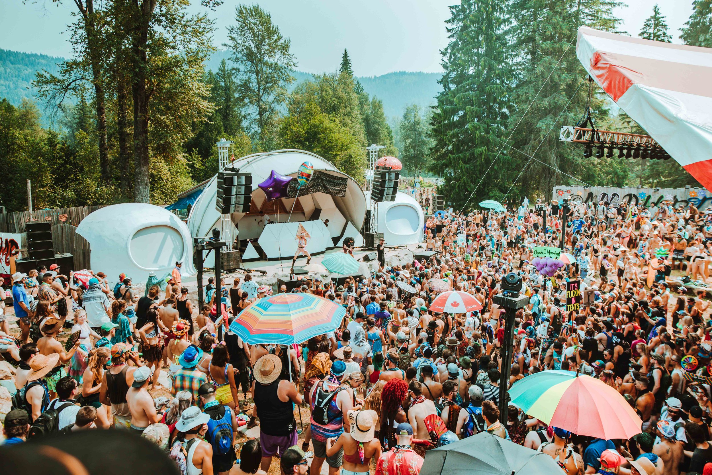Summer music festivals to look forward to in BC