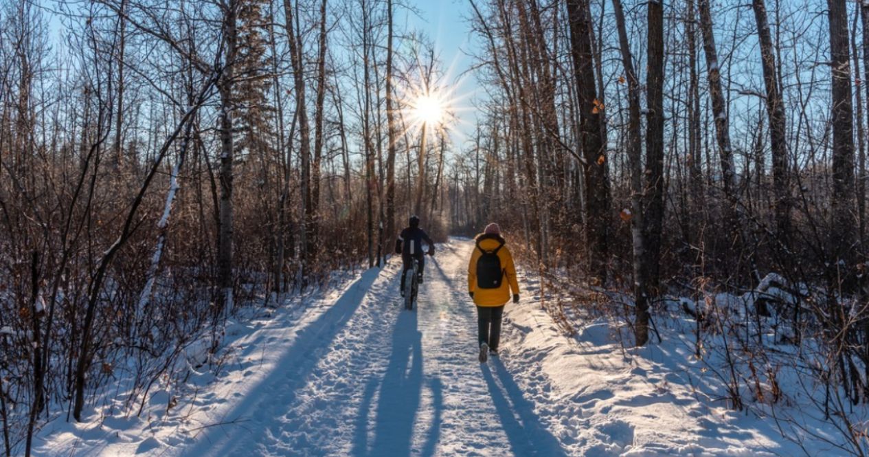 things to do on new year's day in edmonton