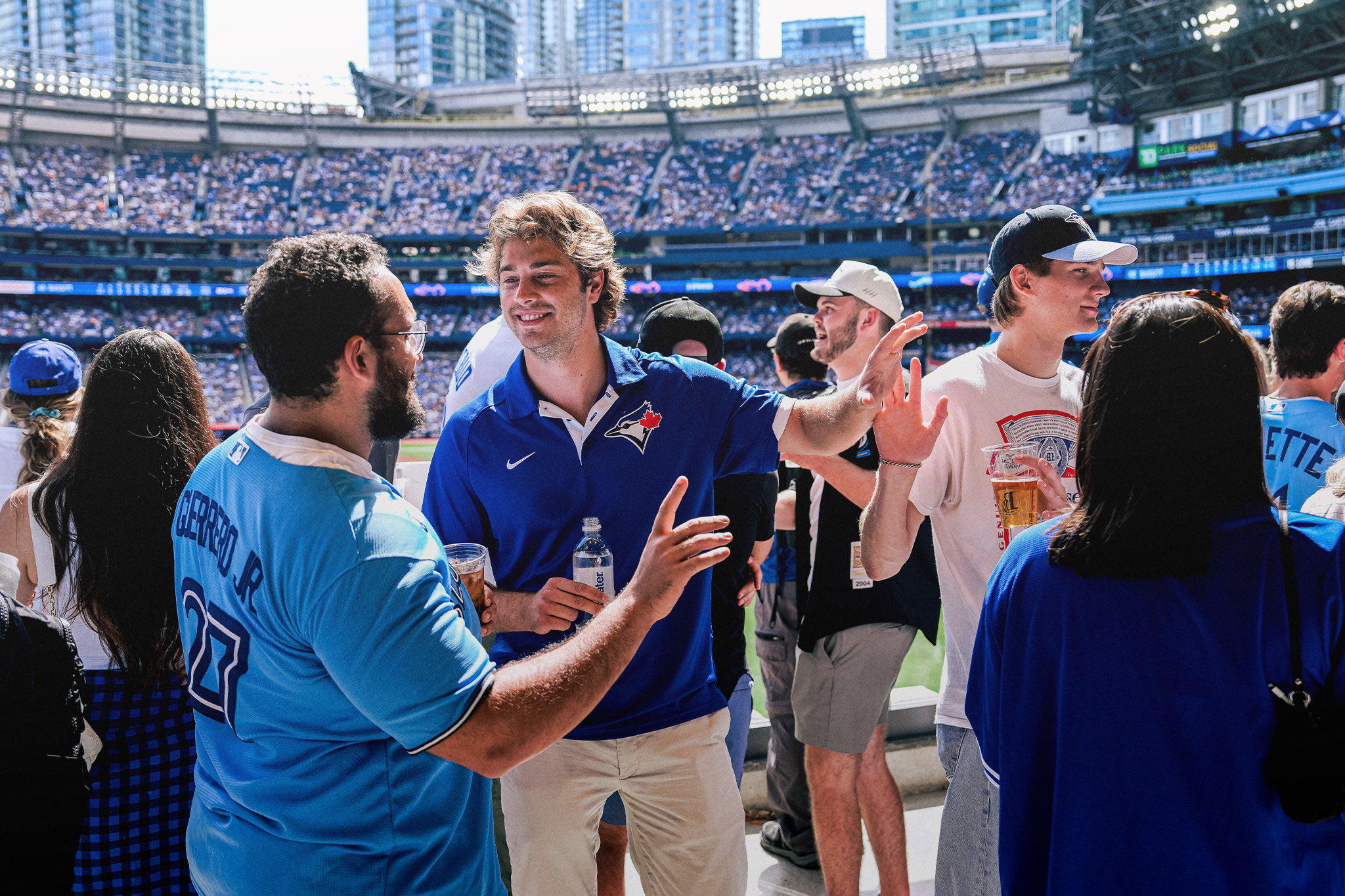 blue jays