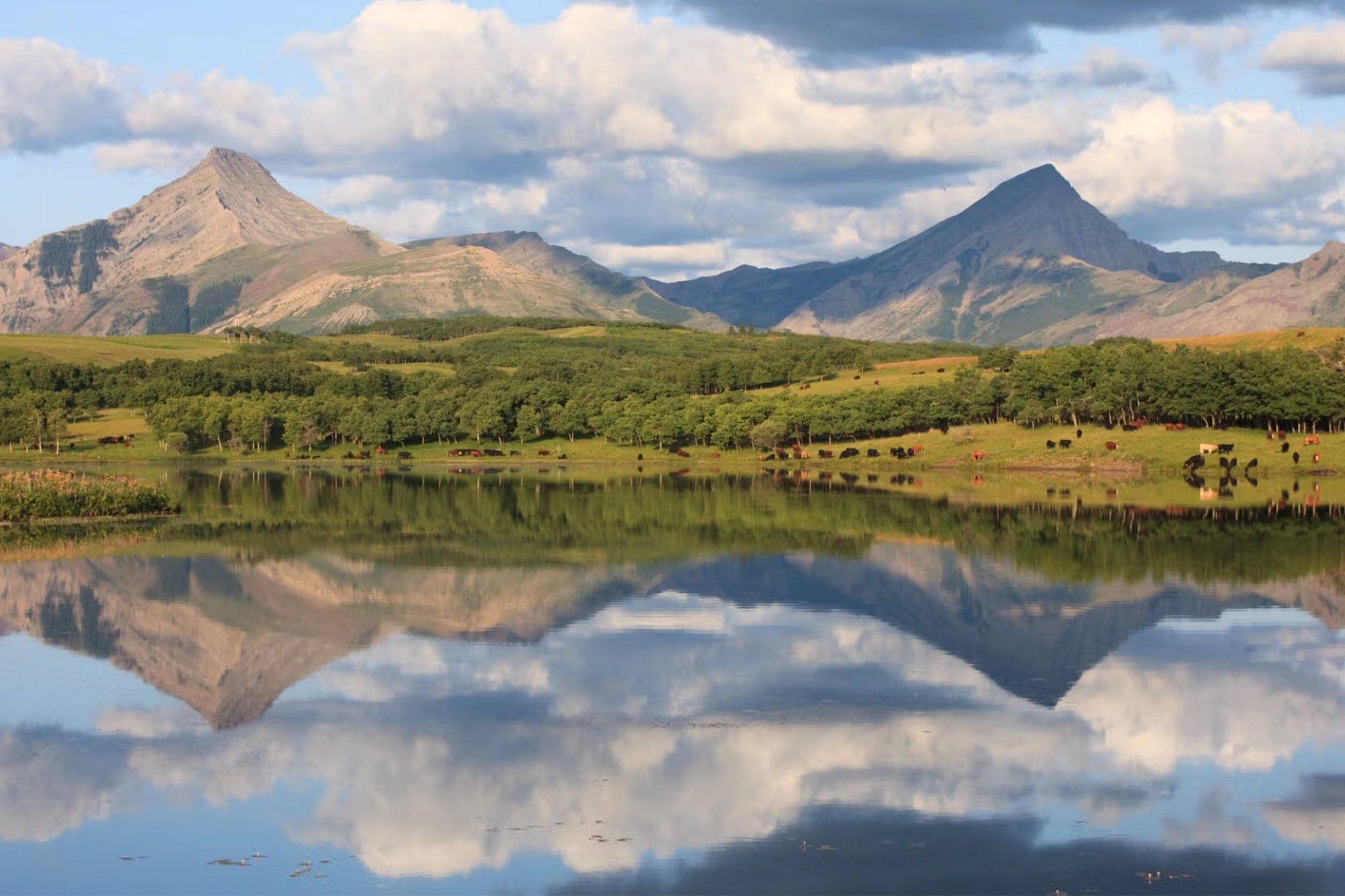 Scenic views and pristine wetlands at Thanksgiving Ranch.