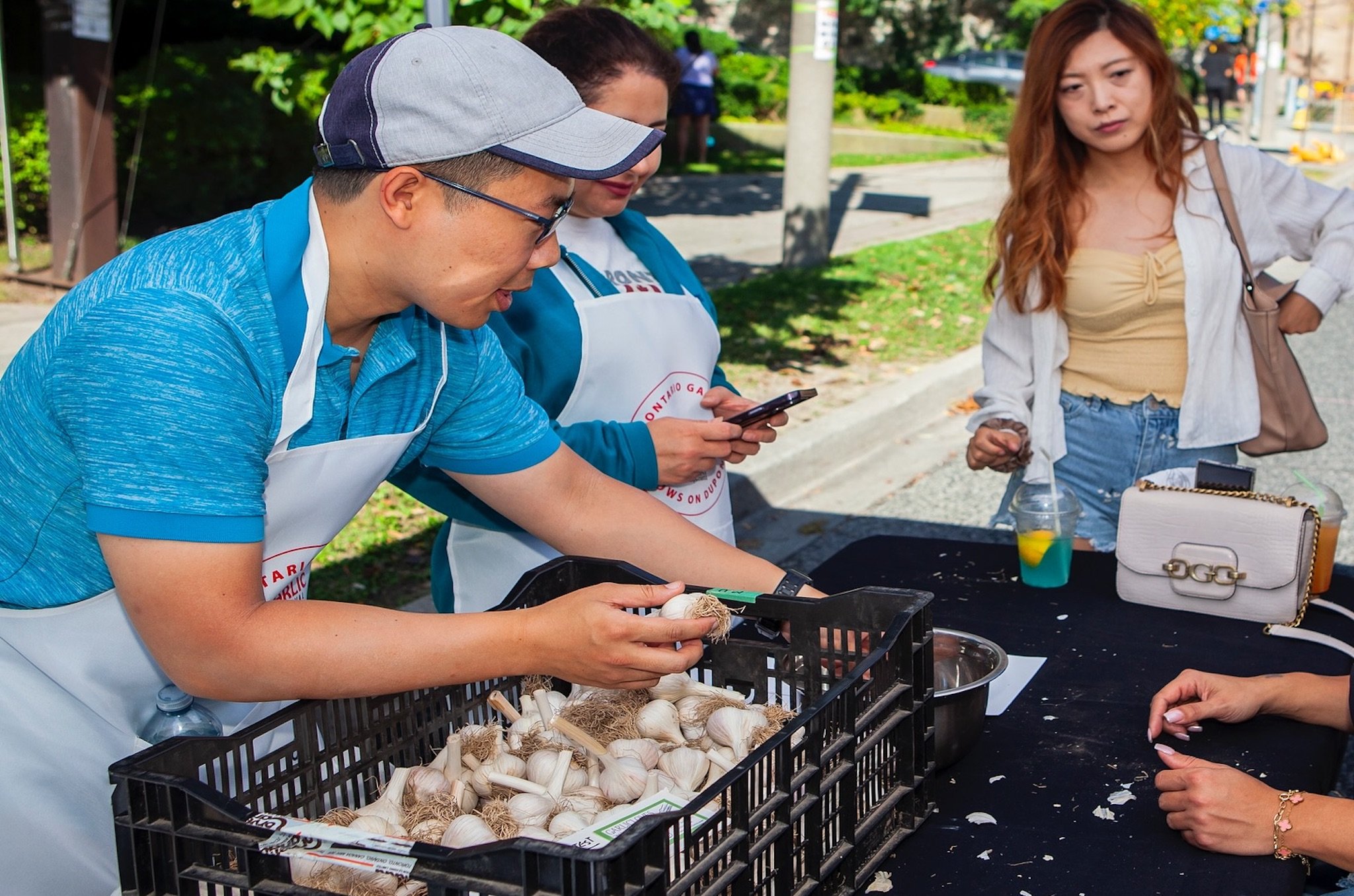Toronto Garlic Festival