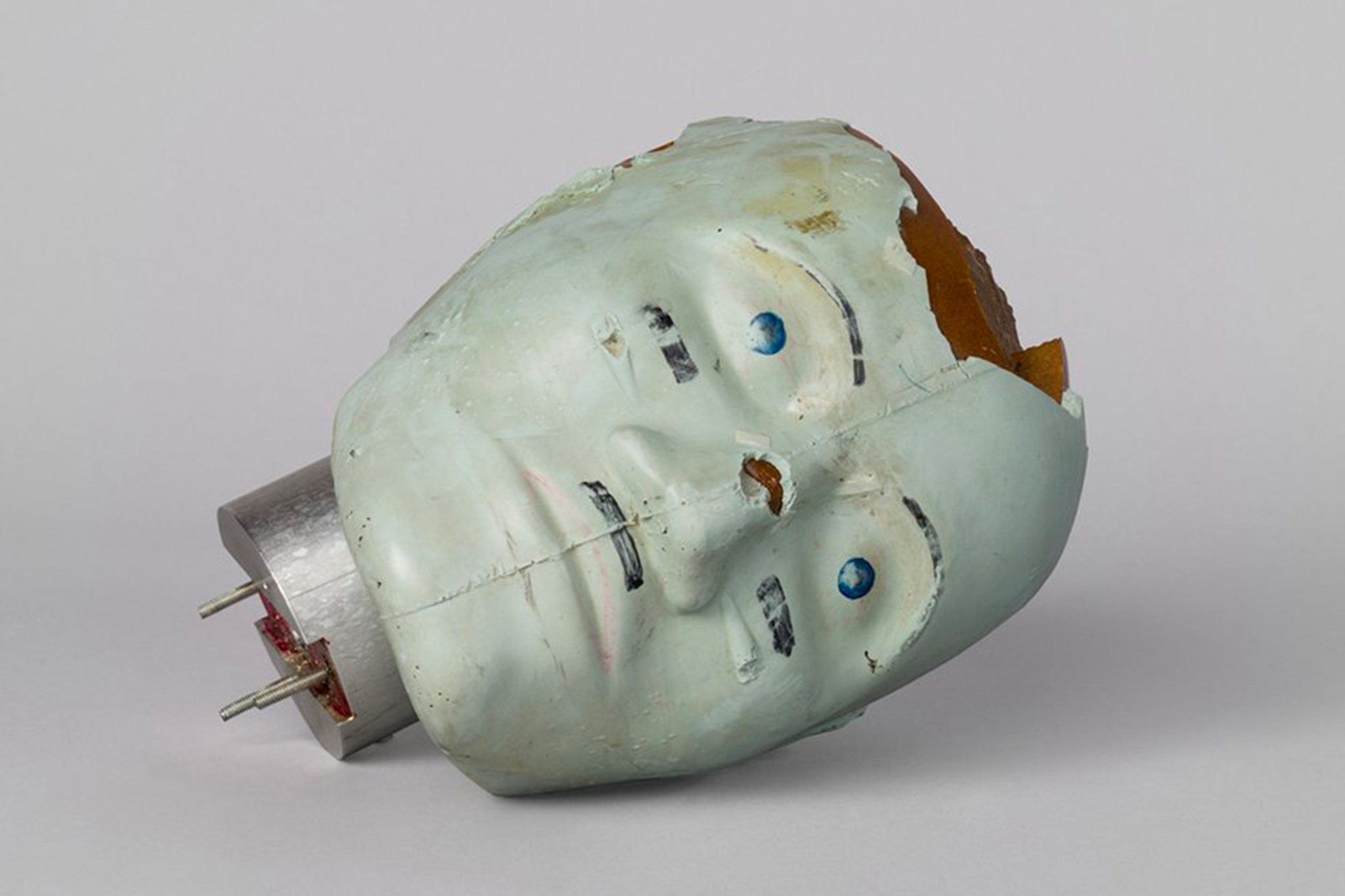 curiocity museum of fear and wonder