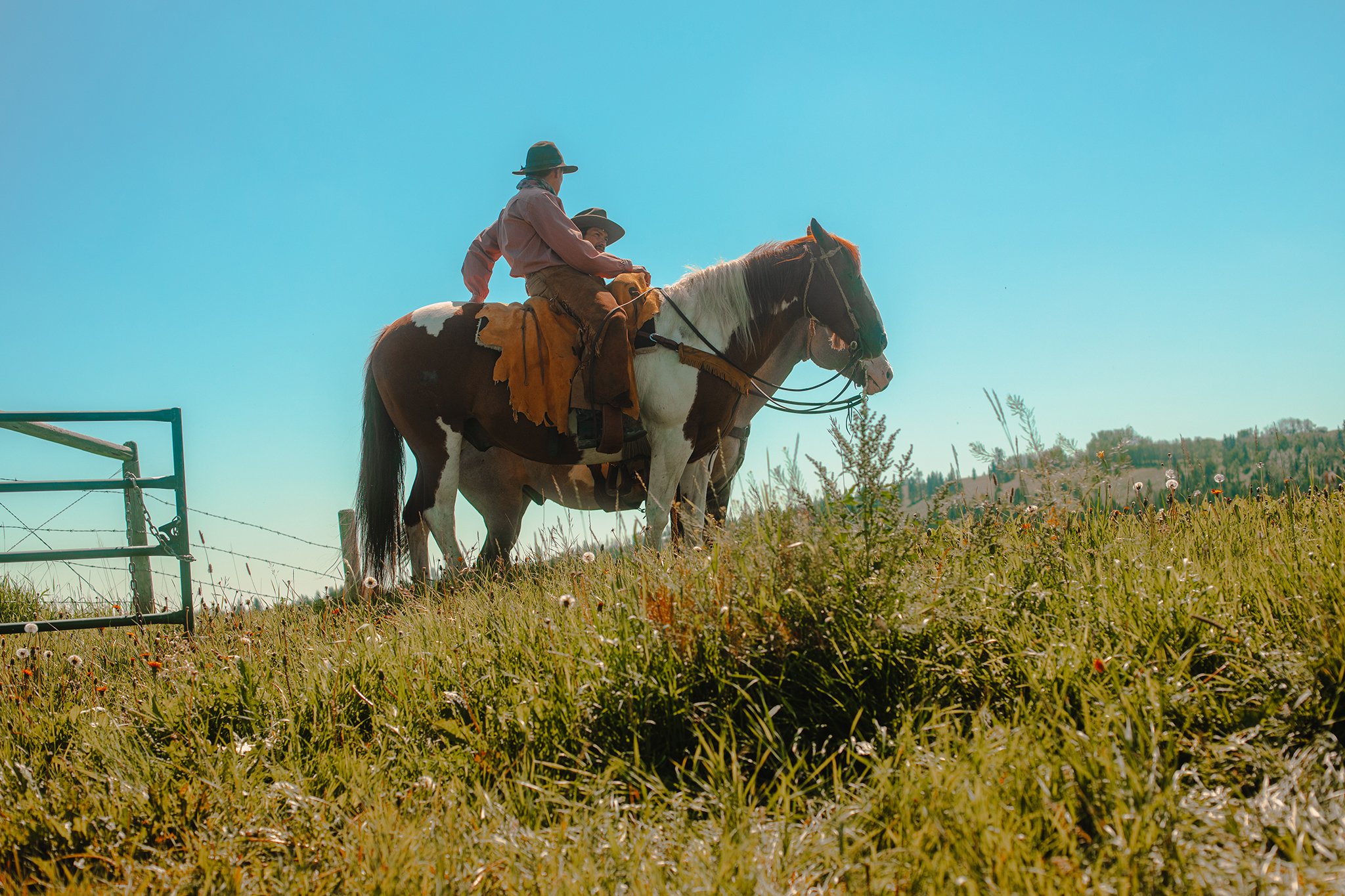 curiocity murdoch mysteries filmed near cowboy trail alberta