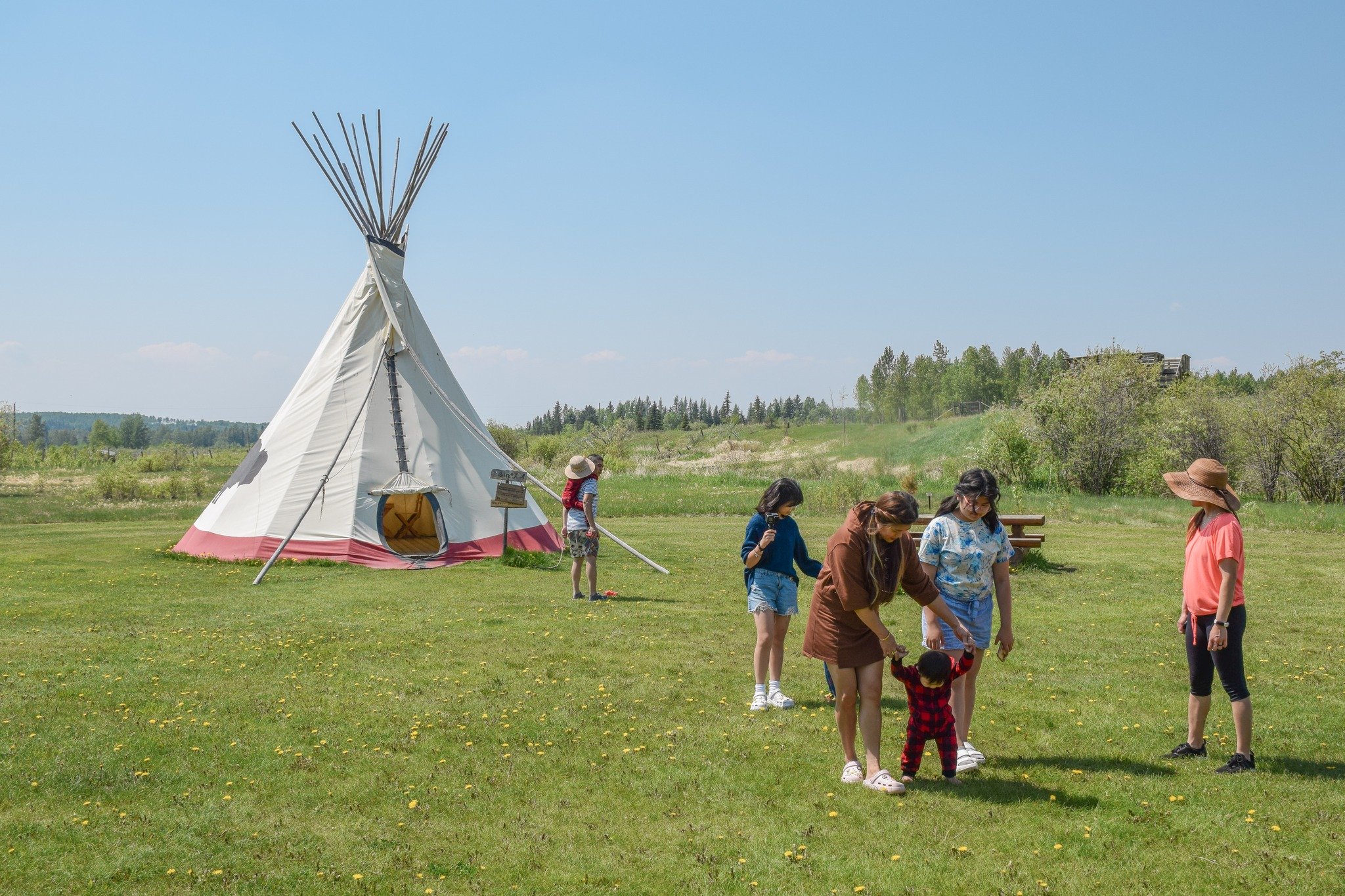 curiocity rocky mountain house alberta tipi